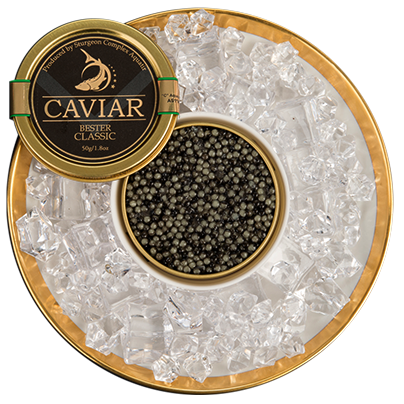 Aquatir Bester Classic