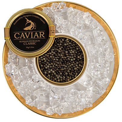 Caspian Sea Sturgeon Classic